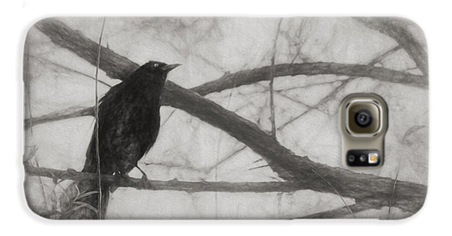Brewer Blackbird Galaxy S6 Case featuring the photograph Nevermore by Melinda Wolverson