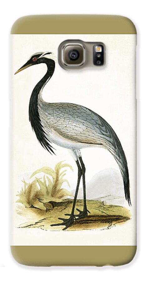 Bird Galaxy S6 Case featuring the painting Numidian Crane by English School