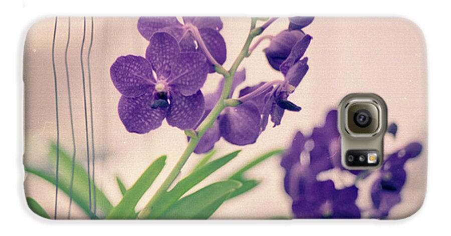 Purple Galaxy S6 Case featuring the photograph Orchids in Purple by Ana V Ramirez