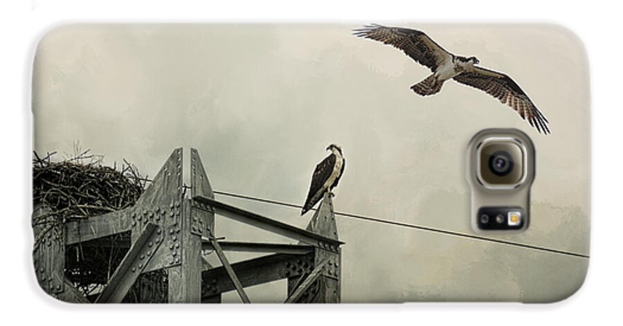 North American Raptor Galaxy S6 Case featuring the photograph Ospreys At Pickwick by Jai Johnson