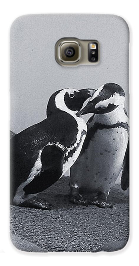 Penguins Galaxy S6 Case featuring the photograph Penguins by Sandy Taylor