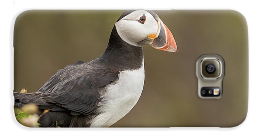 Puffin Galaxy S6 Case featuring the photograph Puffin by Ian Hufton