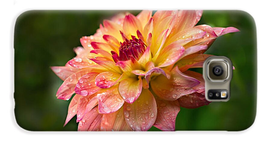 Dahlia Galaxy S6 Case featuring the photograph Rainy Dahlia by Mary Jo Allen