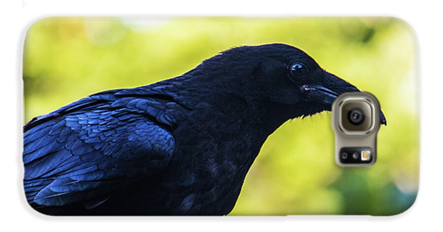 Crow Galaxy S6 Case featuring the photograph Raven by Jonny D