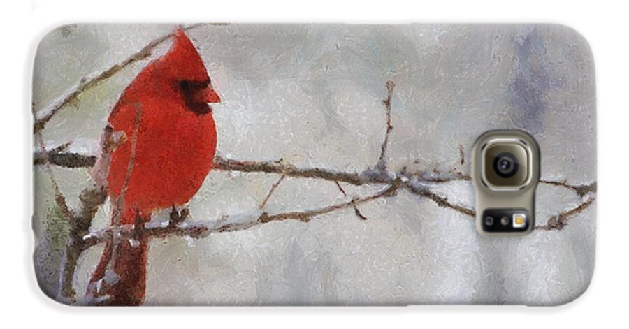 Bird Galaxy S6 Case featuring the painting Red Bird of Winter by Jeffrey Kolker