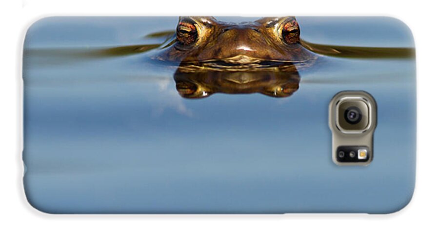 Adult Galaxy S6 Case featuring the photograph Reflections - Toad in a Lake by Roeselien Raimond
