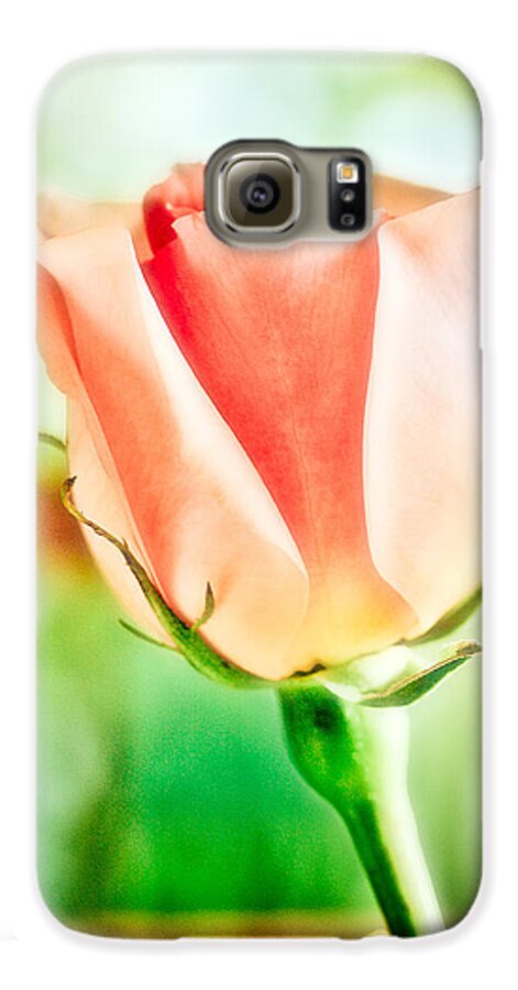 Rose Galaxy S6 Case featuring the photograph Rose in Window by Marilyn Hunt