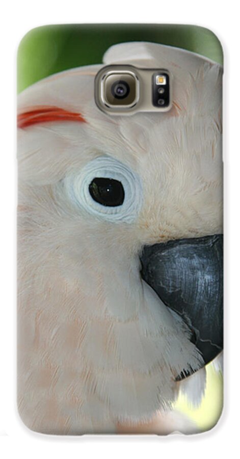 Aloha Galaxy S6 Case featuring the photograph Salmon Crested Moluccan Cockatoo by Sharon Mau