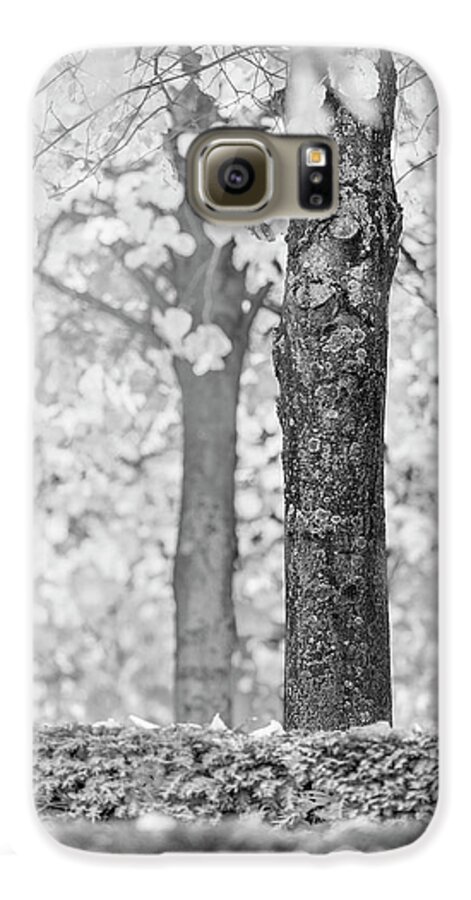 Tree Galaxy S6 Case featuring the photograph Separate by Hitendra SINKAR