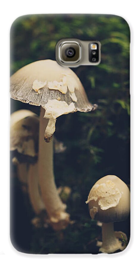Mushroom Galaxy S6 Case featuring the photograph Shroom Family by Shane Holsclaw