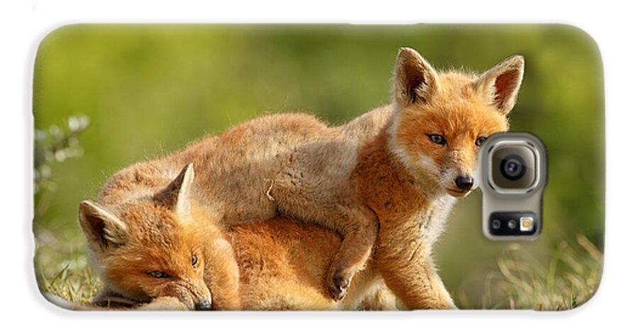 Red Fox Galaxy S6 Case featuring the photograph Sibbling Love - Playing Fox Cubs by Roeselien Raimond