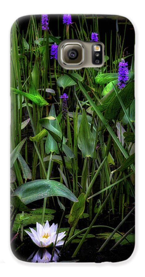 Water Lily Galaxy S6 Case featuring the photograph Summer Swamp 2017 by Bill Wakeley