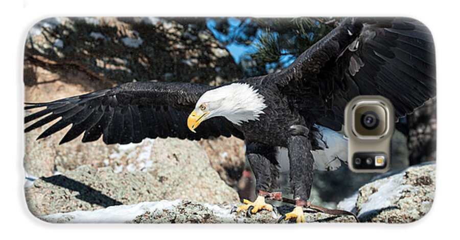 America Galaxy S6 Case featuring the photograph The Eagle Has Landed by Art Atkins