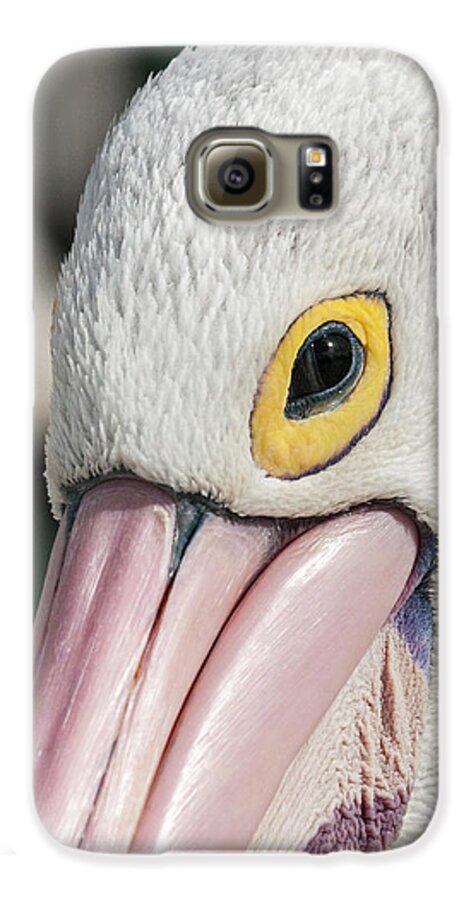 Bird Galaxy S6 Case featuring the photograph The Pelican Look by Werner Padarin