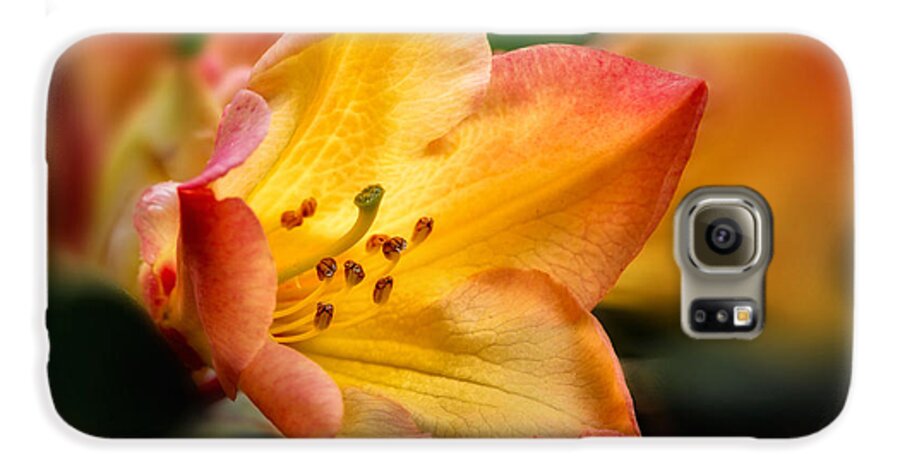 Rhododendron Galaxy S6 Case featuring the photograph Trumpet of Spring by Mary Jo Allen