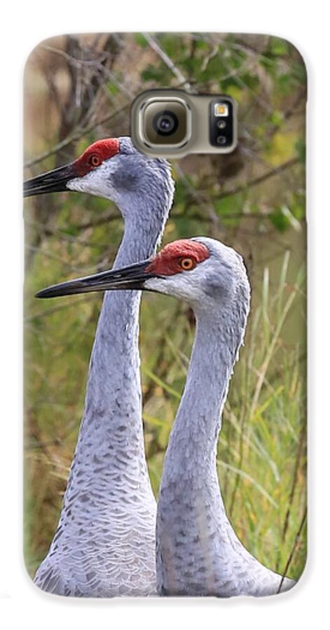 Sandhill Cranes Galaxy S6 Case featuring the photograph Two Sandhills in Green by Carol Groenen
