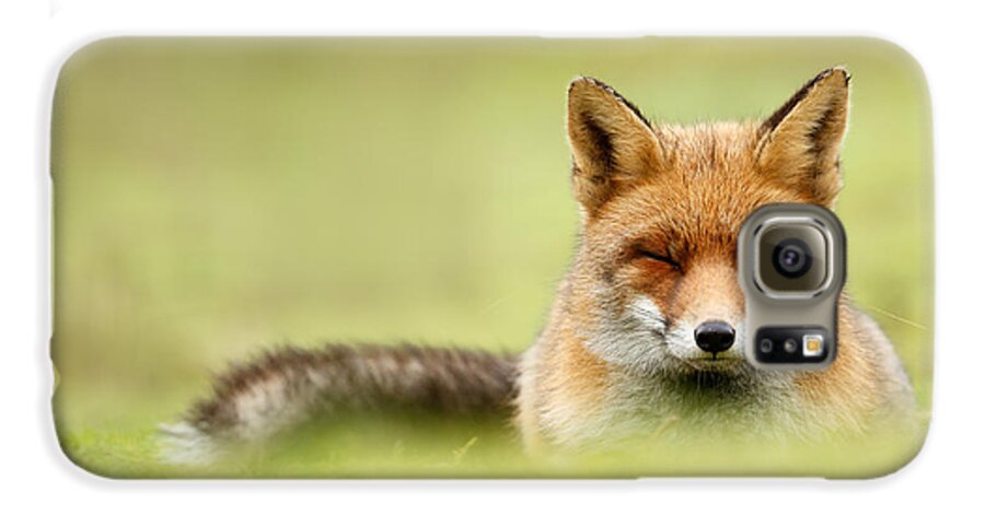 Red Fox Galaxy S6 Case featuring the photograph Zen Fox Series - Zen Fox in a Sea of Green by Roeselien Raimond