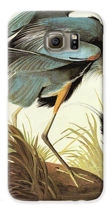 Ornithologist Galaxy S6 Case featuring the painting Great Blue Heron #2 by John James Audubon