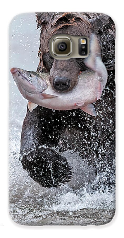 Wild Galaxy S6 Case featuring the photograph Brown Bear with Salmon catch by Gary Langley