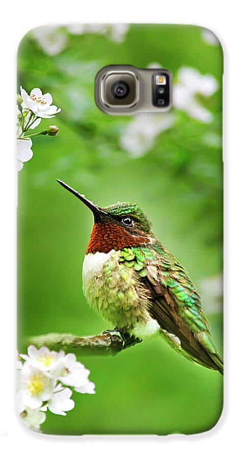 Hummingbird Galaxy S6 Case featuring the photograph Fauna and Flora - Hummingbird with Flowers by Christina Rollo