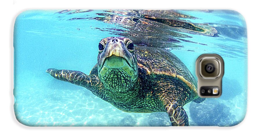 Sea Galaxy S6 Case featuring the photograph friendly Hawaiian sea turtle by Sean Davey