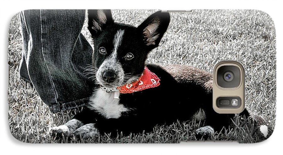 Dog Galaxy S7 Case featuring the photograph Molly #1 by Sherry Davis