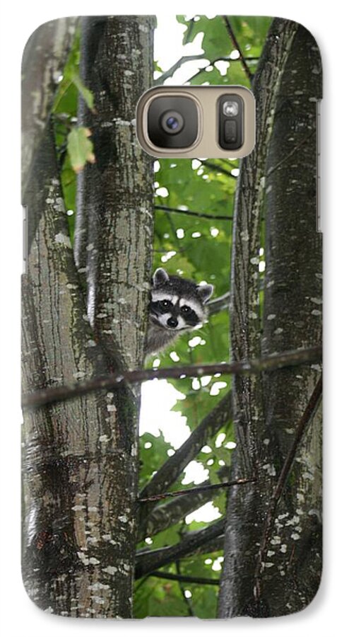 Raccoon Galaxy S7 Case featuring the photograph Peeking At Me #1 by Myrna Walsh