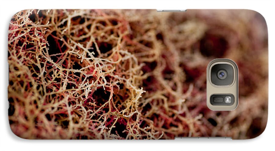 Coral Galaxy S7 Case featuring the photograph Red Coral #1 by Carole Hinding