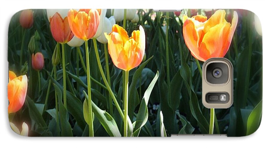 Flower Galaxy S7 Case featuring the photograph Tulips #1 by Therese Alcorn