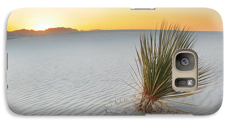 White Sands Galaxy S7 Case featuring the photograph Yucca Plant at White Sands #1 by Alan Vance Ley