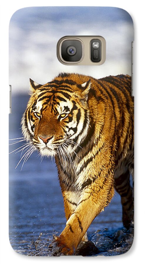 puberteit kraam Startpunt Bengal Tiger Galaxy S7 Case by Jeffrey Lepore - Science Source Prints -  Website