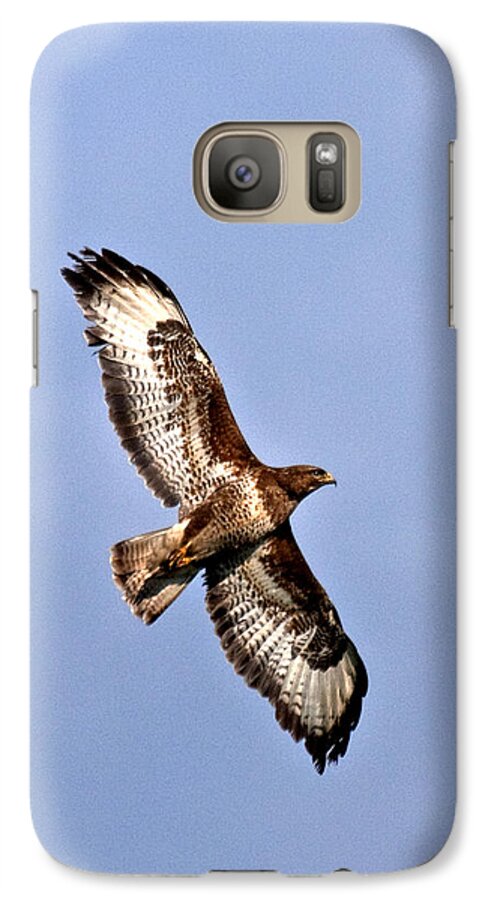 Raptor Galaxy S7 Case featuring the photograph Common Buzzard #2 by Paul Scoullar