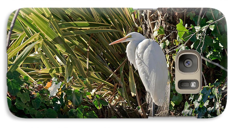Kate Brown Galaxy S7 Case featuring the photograph Great Egret by Kate Brown
