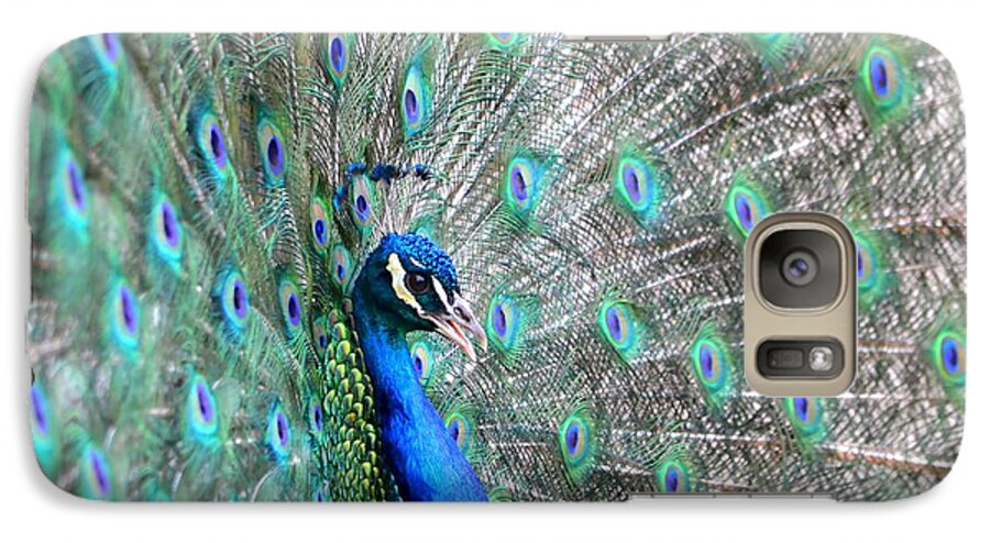 Peacock Galaxy S7 Case featuring the photograph Proud by Deena Stoddard