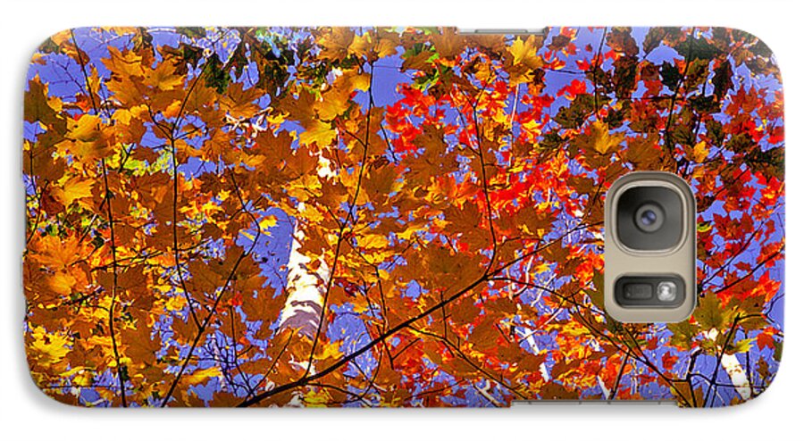 New Hampshire Galaxy S7 Case featuring the photograph Shades of Fall #2 by Dennis Bucklin