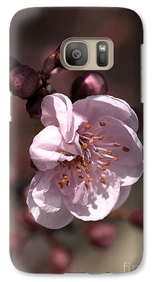Spring Blossom Galaxy S7 Case featuring the photograph Spring Blossom by Joy Watson