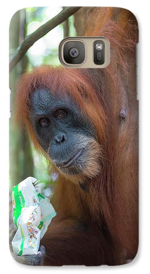 Animal Galaxy S7 Case featuring the photograph Sumatran Orangutan #2 by Scubazoo
