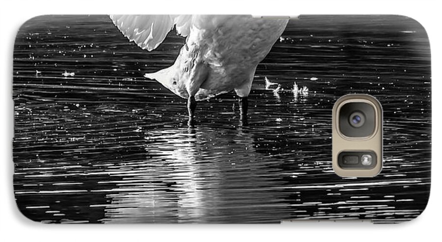 Beak Galaxy S7 Case featuring the photograph Mute Swan #12 by Brian Stevens