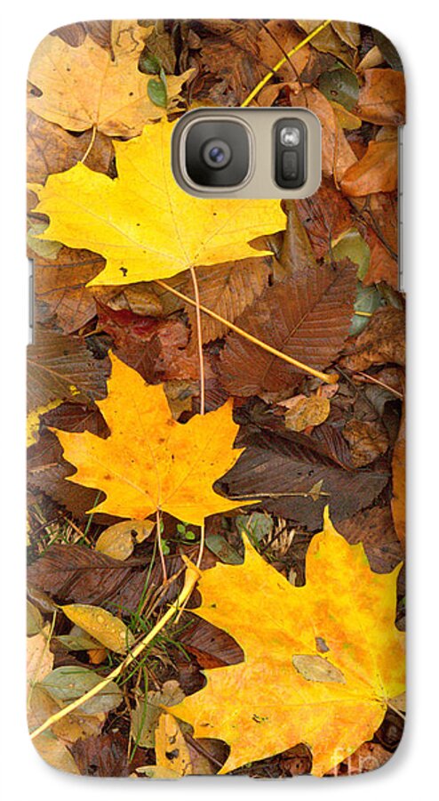 Leaves Galaxy S7 Case featuring the photograph 3 Shades of Yellow by Jim McCain