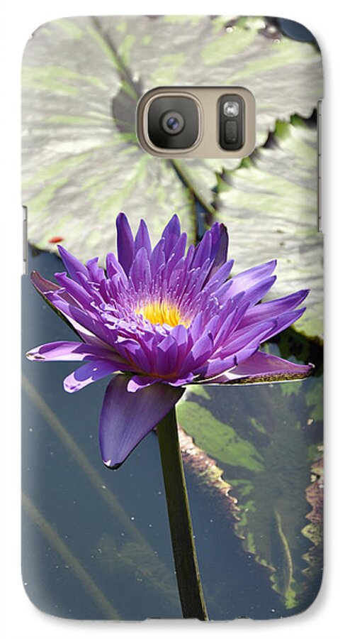 Water Lily Galaxy S7 Case featuring the photograph Water Lily #4 by Dottie Branch