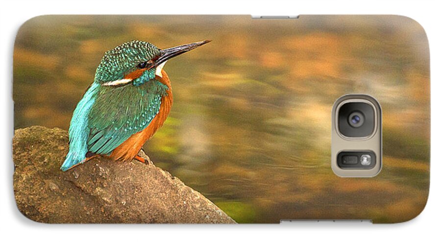Kingfisher Galaxy S7 Case featuring the photograph Kingfisher #8 by Paul Scoullar