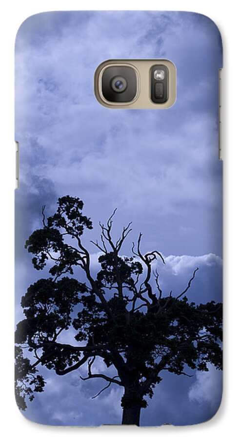 Art Shapes Colors Galaxy S7 Case featuring the photograph A Flash of Blue Tree by Sally Ross