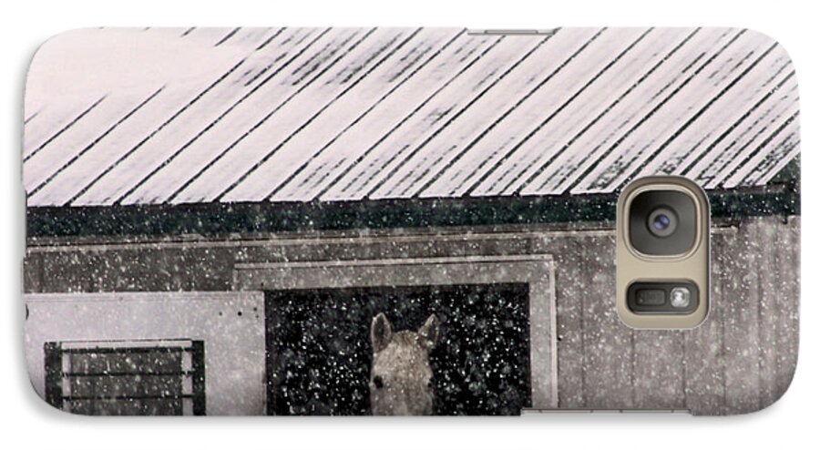Horse Galaxy S7 Case featuring the photograph A Snowfall at the Stable by Bruce Patrick Smith
