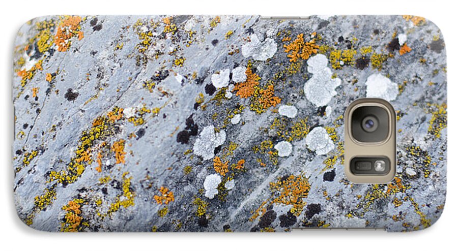 Abstract Galaxy S7 Case featuring the photograph Abstract Orange Lichen 2 by Chase Taylor