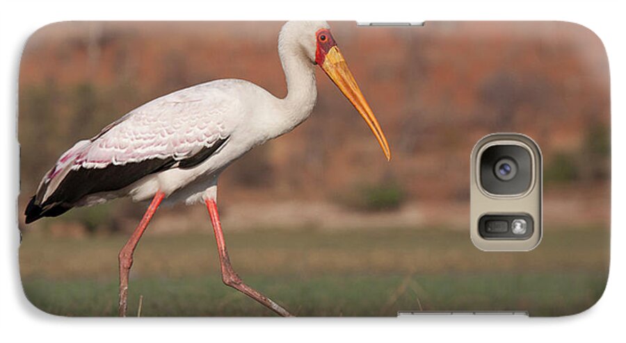 Africa Galaxy S7 Case featuring the photograph Africa, Botswana, Chobe National Park by Jaynes Gallery