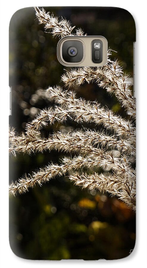 Seeds Galaxy S7 Case featuring the photograph After summer by Inge Riis McDonald