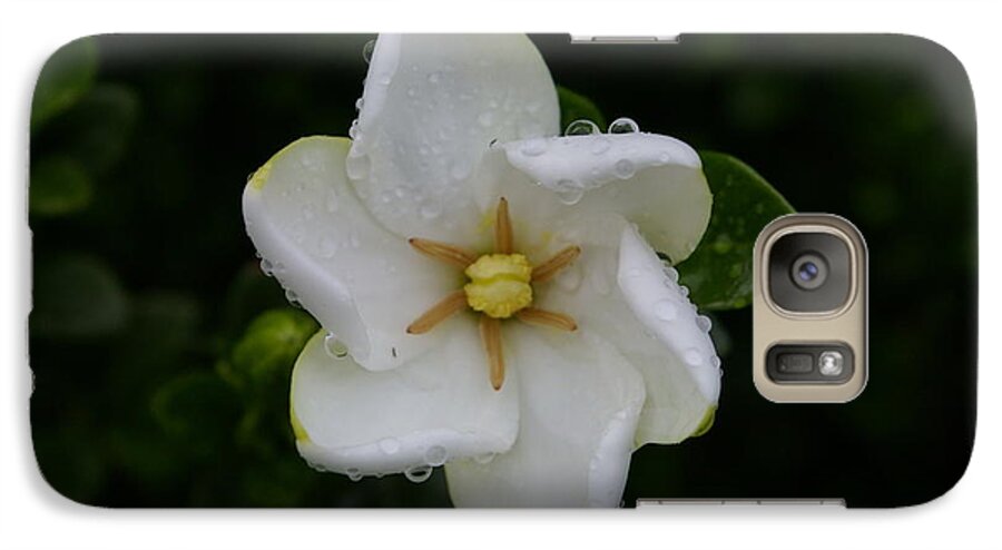 Gardenia Galaxy S7 Case featuring the photograph After the Rain by Tannis Baldwin