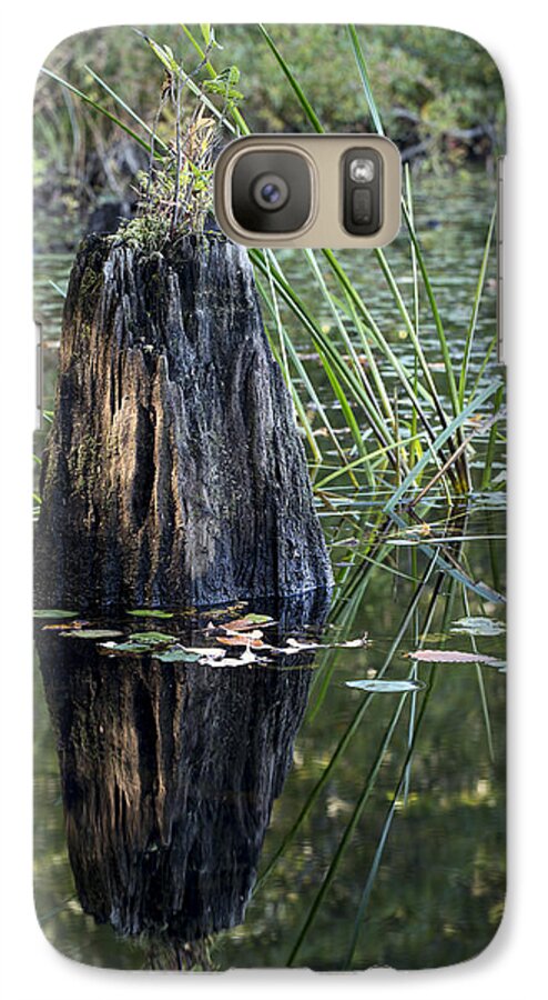Andrew Pacheco Galaxy S7 Case featuring the photograph Afternoon Light by Andrew Pacheco