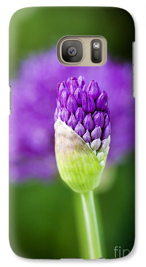 Allium Hollandicum Galaxy S7 Case featuring the photograph Allium hollandicum Purple Sensation by Tim Gainey