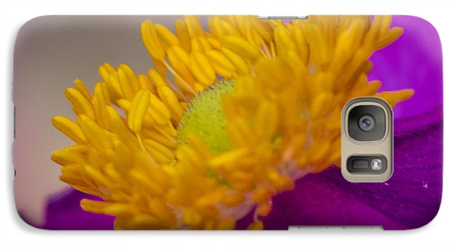 Anemone Galaxy S7 Case featuring the photograph Anemone by Cathy Donohoue